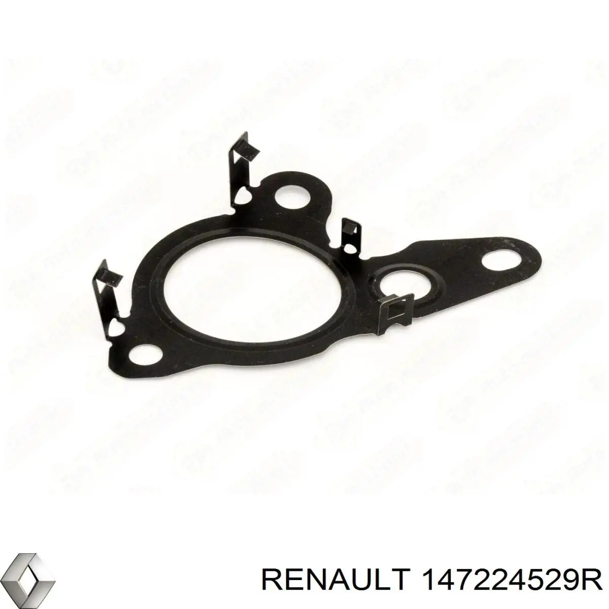 147224529R Renault (RVI) Uszczelka zaworu recyrkulacji EGR