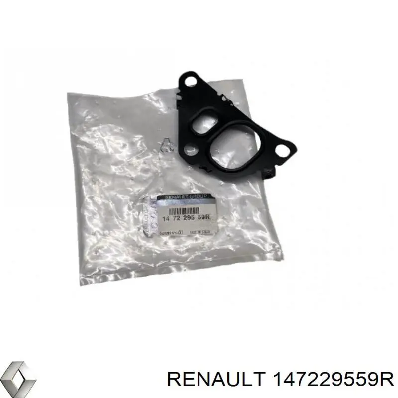 147229559R Renault (RVI) Uszczelka zaworu recyrkulacji EGR