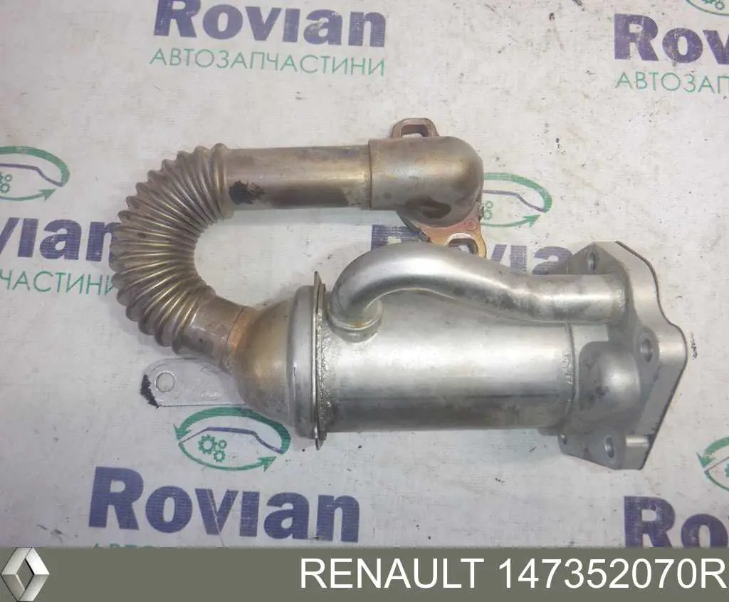 Do koszyka 147352070R Renault (RVI) Chłodnica układu recyrkulacji spalin EGR