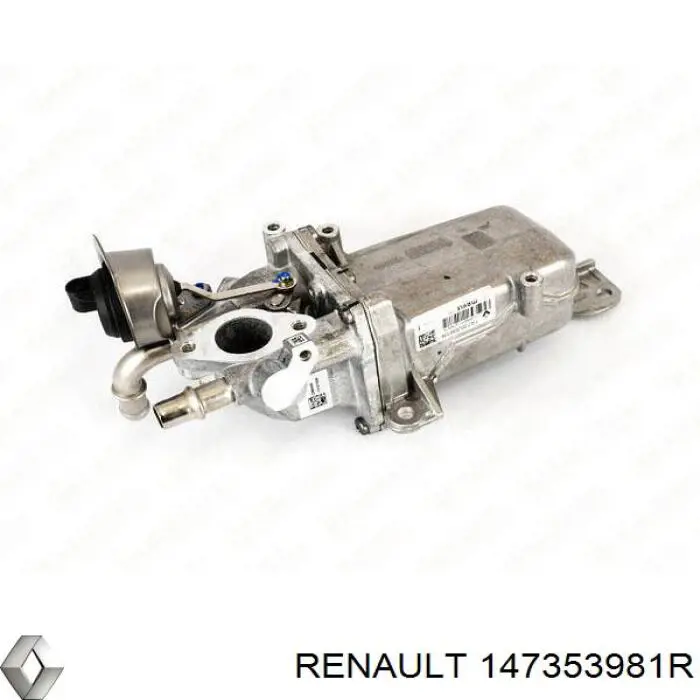 Do koszyka 147353981R Renault (RVI) Chłodnica układu recyrkulacji spalin EGR