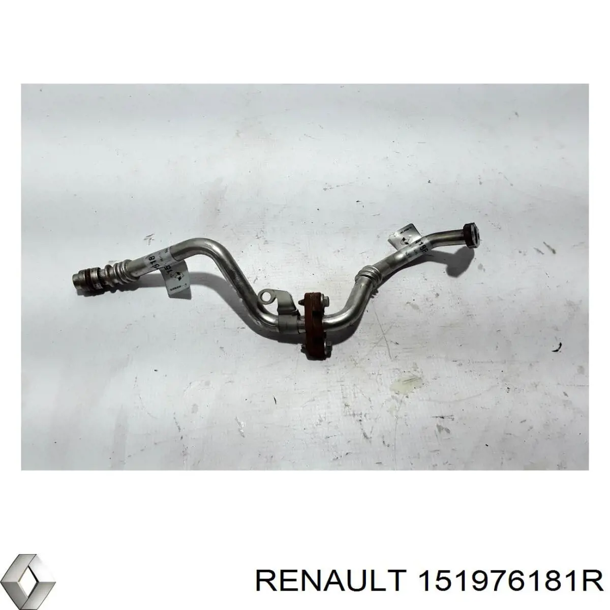 Do koszyka 151976181R Renault (RVI) 