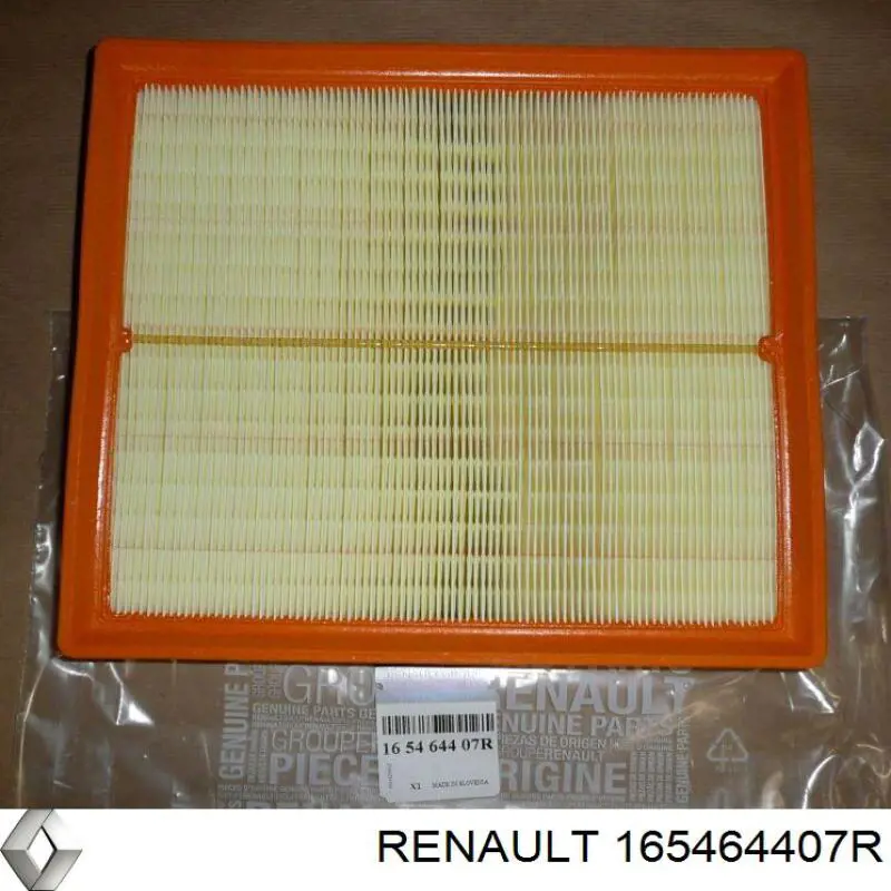 Do koszyka 165464407R Renault (RVI) Filtr powietrza