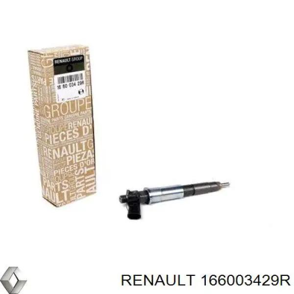 Wtryskiwacz paliwa Renault (RVI) 166003429R cena, od 185,02 USD