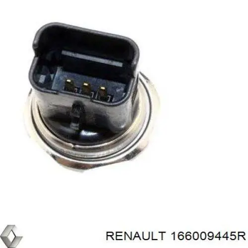 Do koszyka 166009445R Renault (RVI) Wtryskiwacz paliwa