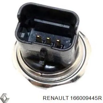 Do koszyka 166009445R Renault (RVI) Wtryskiwacz paliwa