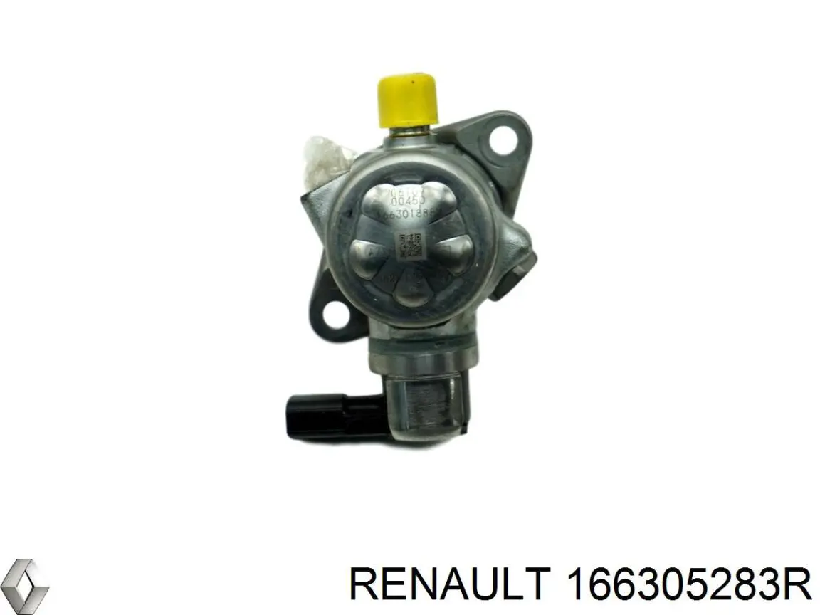 Pompa wtryskowa wysokiego ciśnienia Renault (RVI) 166305283R cena, od 244,09 USD