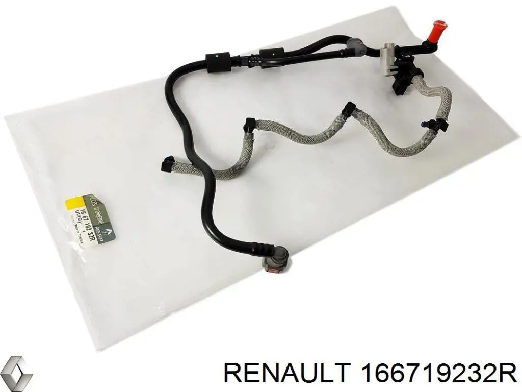 Rurka paliwa, zwrotna od wtryskiwaczy Renault (RVI) 166719232R cena, od 93,82 USD