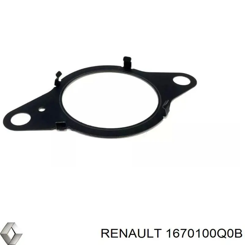 1670100Q0B Renault (RVI) Uszczelka pompy wtryskowej