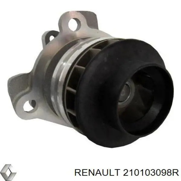 Do koszyka 210103098R Renault (RVI) Pompa chłodząca wodna