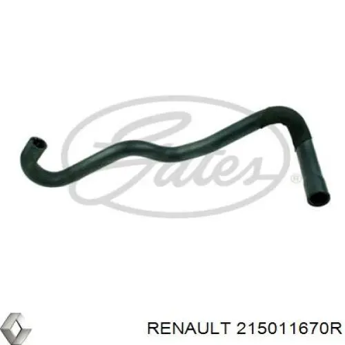 Przewód (króciec) chłodnicy górny Renault (RVI) 215011670R cena, od 31,00 USD