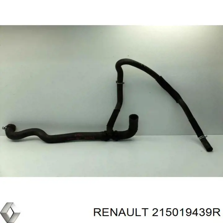 215019439R Renault (RVI) Przewód (króciec) chłodnicy dolny