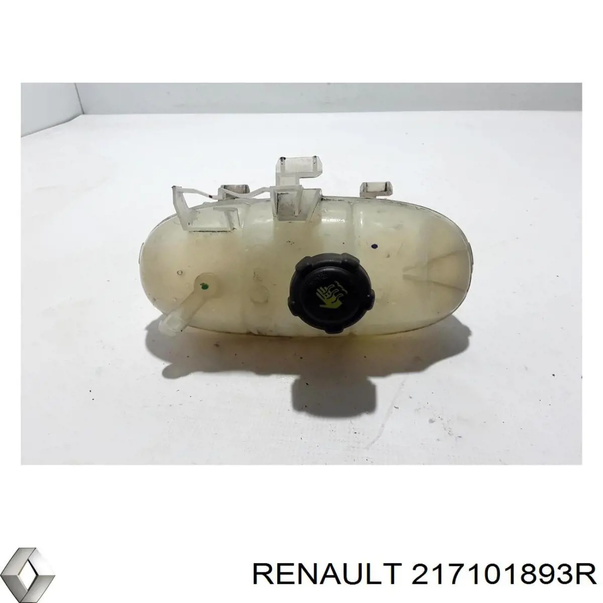 Do koszyka 217101893R Renault (RVI) 