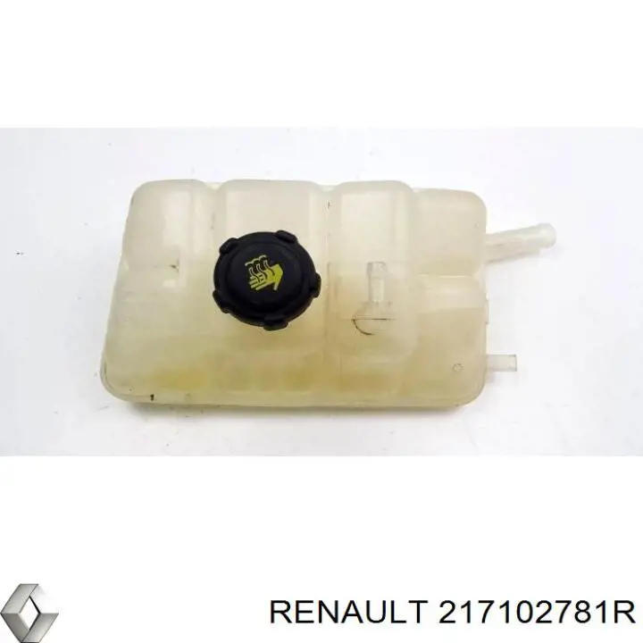 217102781R Renault (RVI) Zbiorniczek wyrównawczy układu chłodzenia