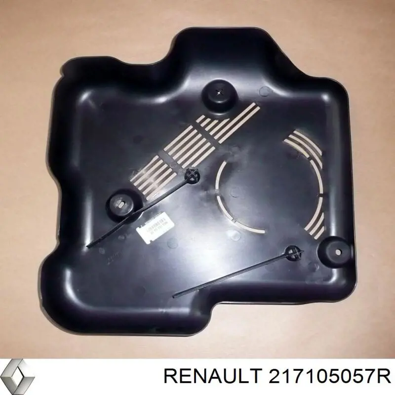 Zbiorniczek wyrównawczy układu chłodzenia Renault (RVI) 217105057R
