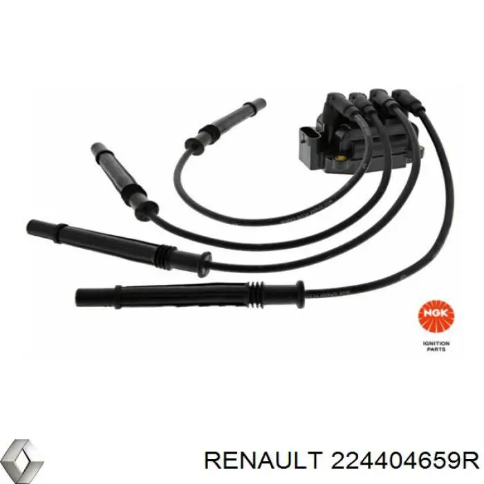 Do koszyka 224404659R Renault (RVI) Zestaw przewodów wysokiego napięcia