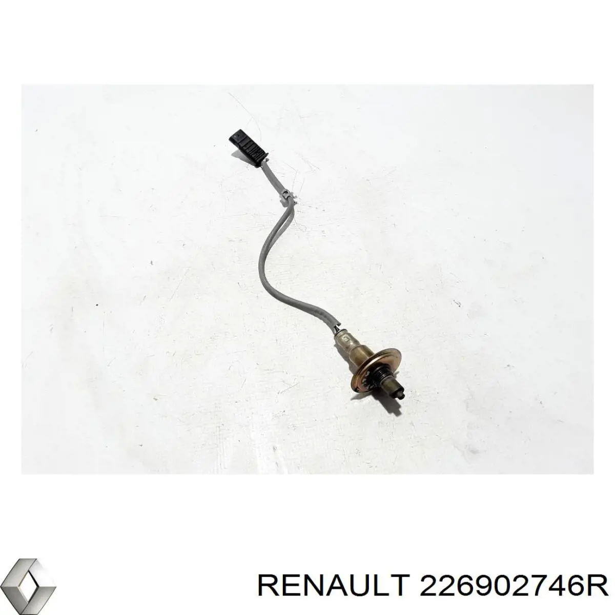  Renault (RVI) 226902746R cena, od 75,09 USD