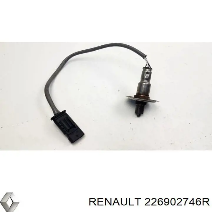Do koszyka 226902746R Renault (RVI) 