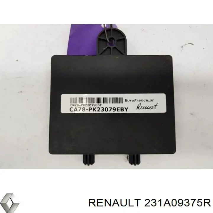 231A09375R Renault (RVI)