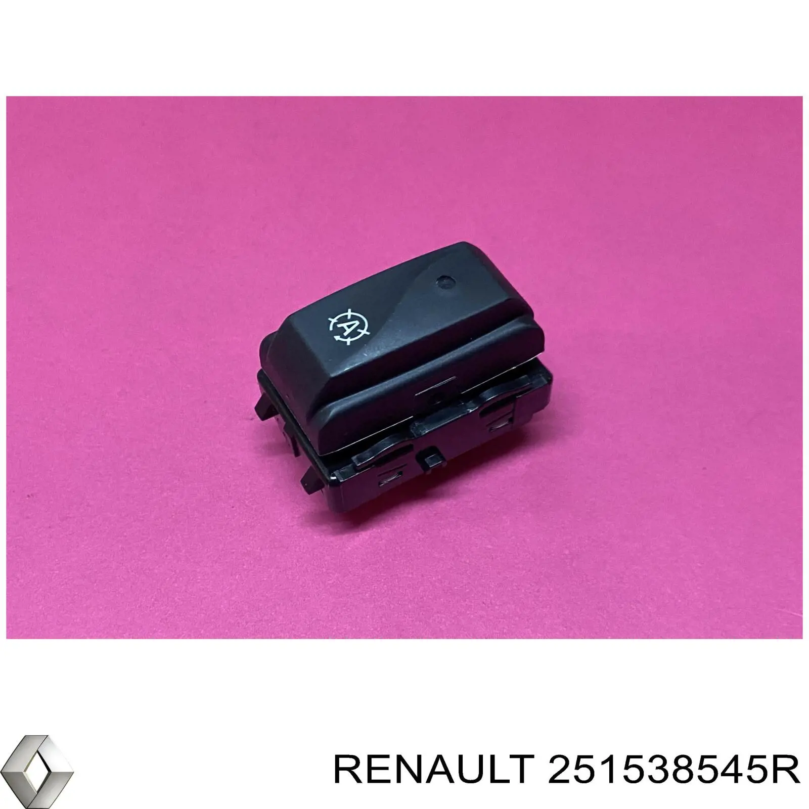 251538545R Renault (RVI) 