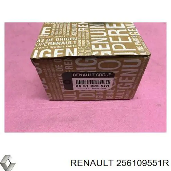 256100004R Renault (RVI) Sygnał dźwiękowy (klakson)