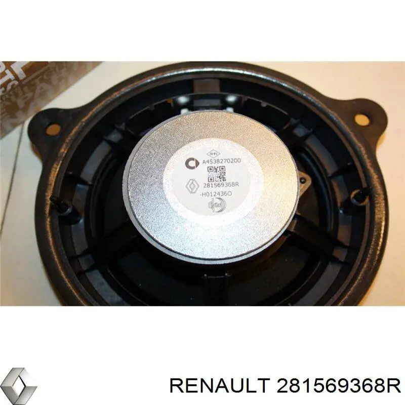 281569368R Renault (RVI) Głośnik drzwi przednich