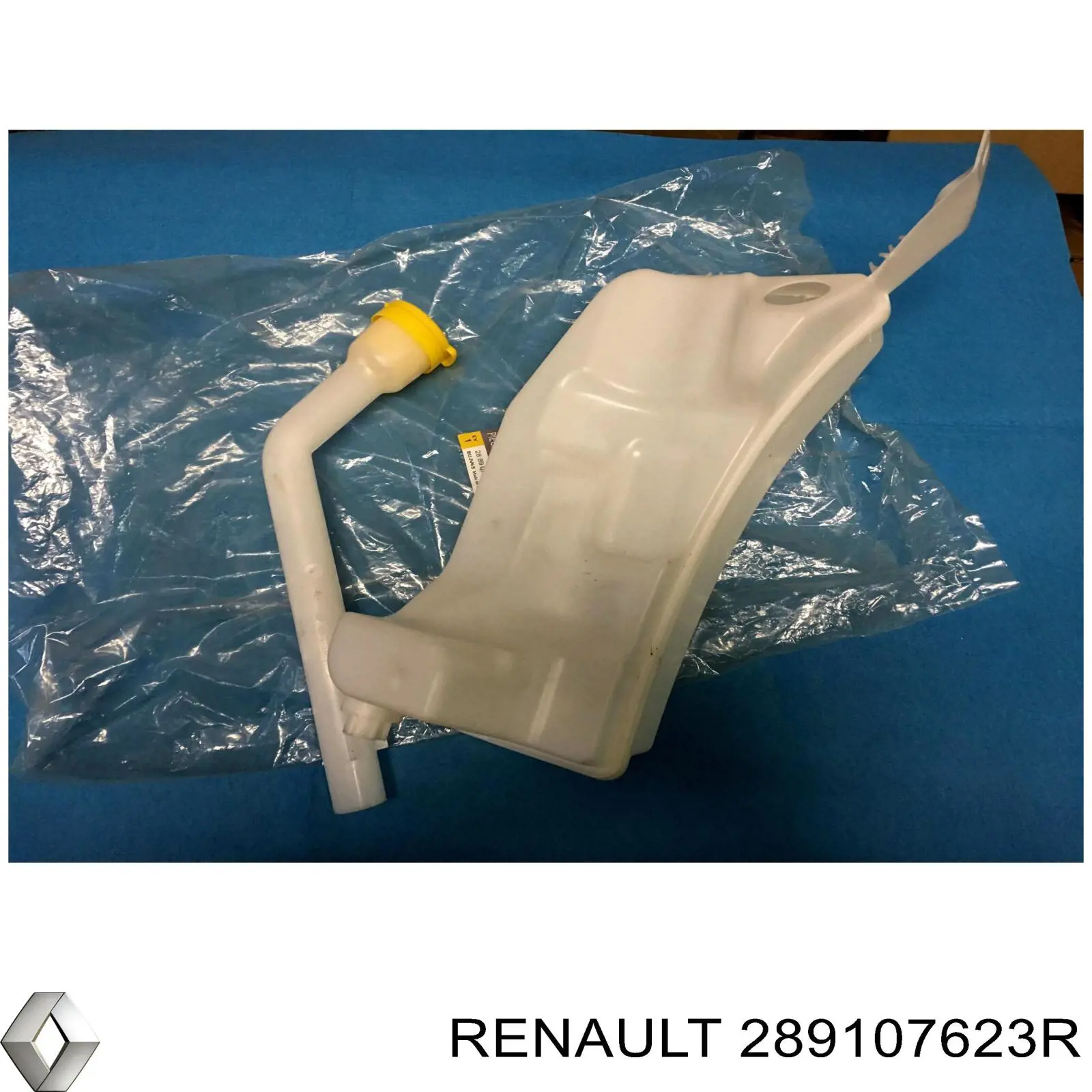 Zbiorniczek spryskiwacza szyb Renault (RVI) 289107623R cena, od 71,51 USD