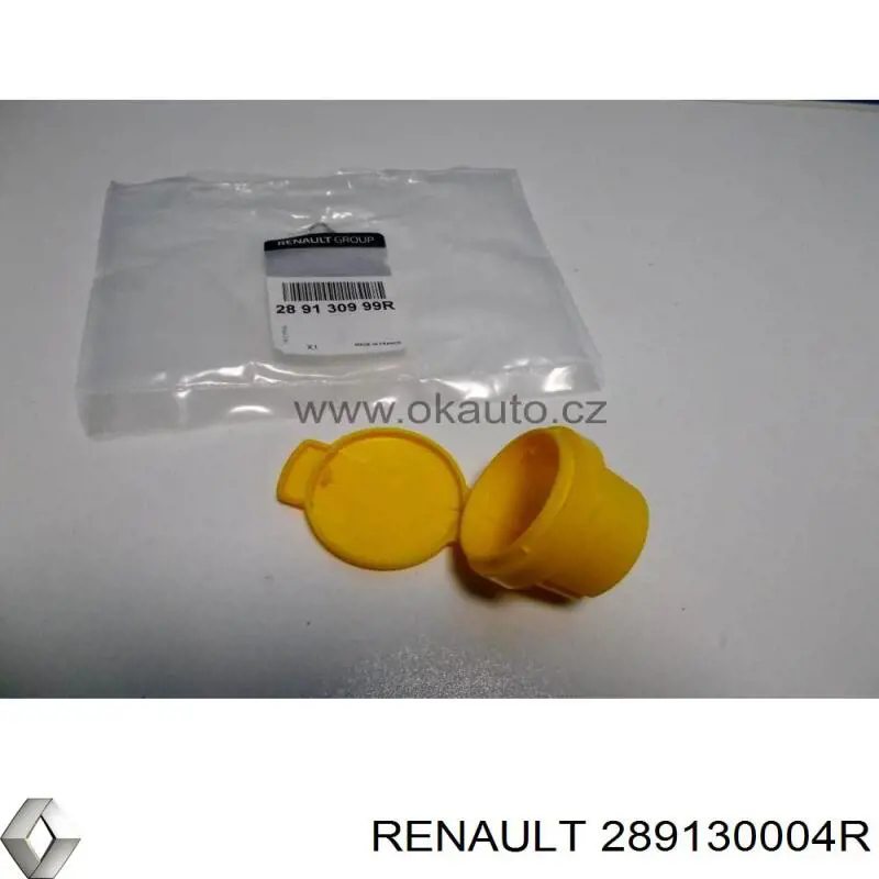 Korek zbiornika spryskiwacza Renault (RVI) 289130004R cena, od 7,07 USD