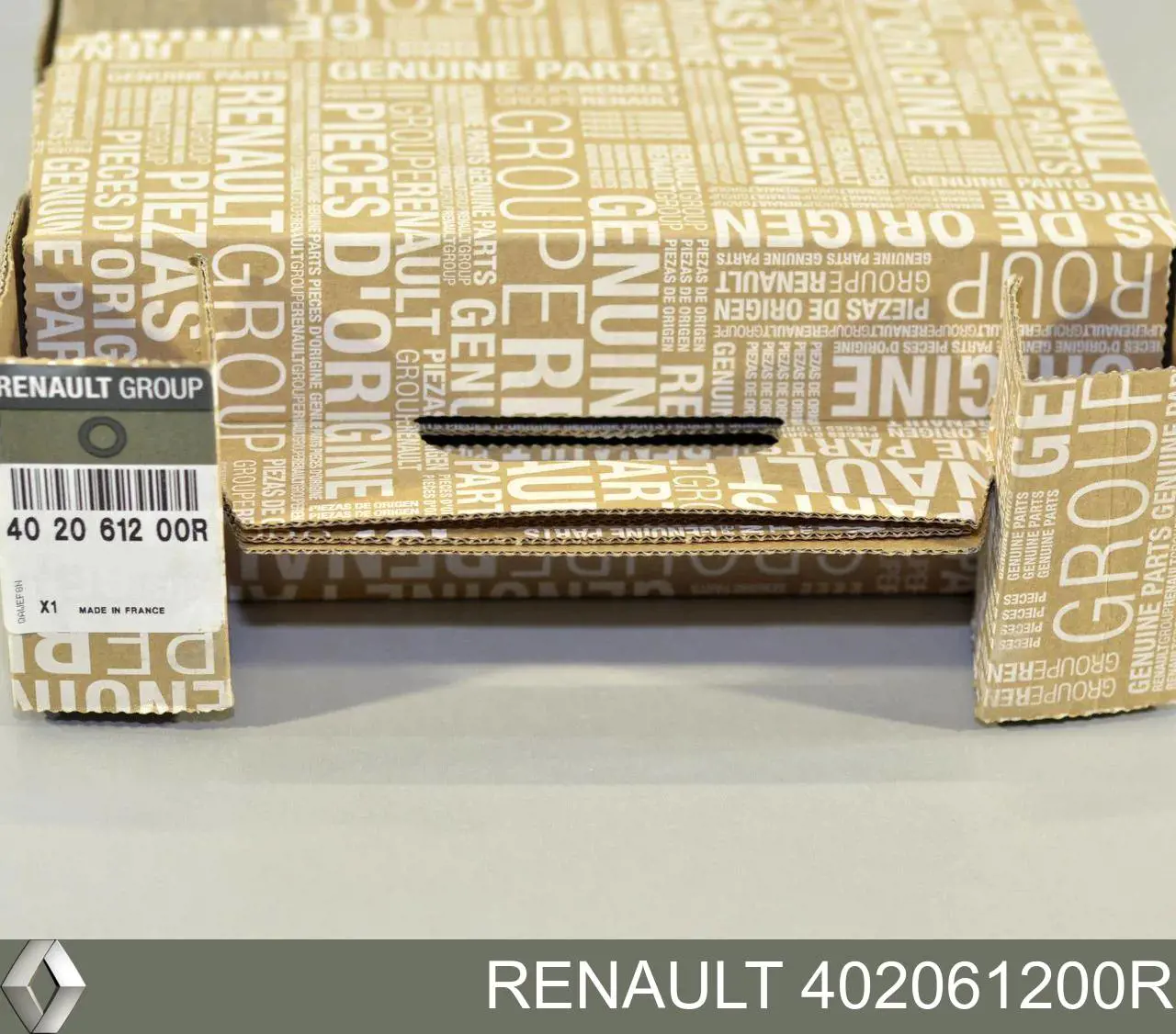 402061200R Renault (RVI) Tarcza hamulcowa przednia
