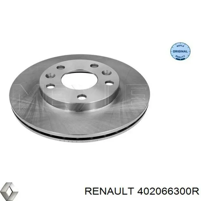 Do koszyka 402066300R Renault (RVI) Tarcza hamulcowa przednia
