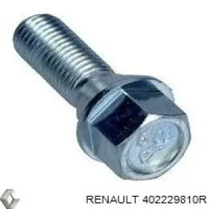 Do koszyka 402229810R Renault (RVI) Śruba koła