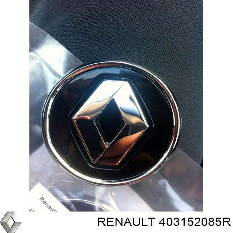 Do koszyka Kołpak do obręczy koła Renault Scenic GRAND IV R9