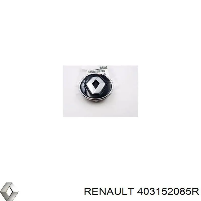 Kołpak do obręczy koła Renault Scenic GRAND IV minivan (R9) (2016 - 2023) cena, od 22,80 USD