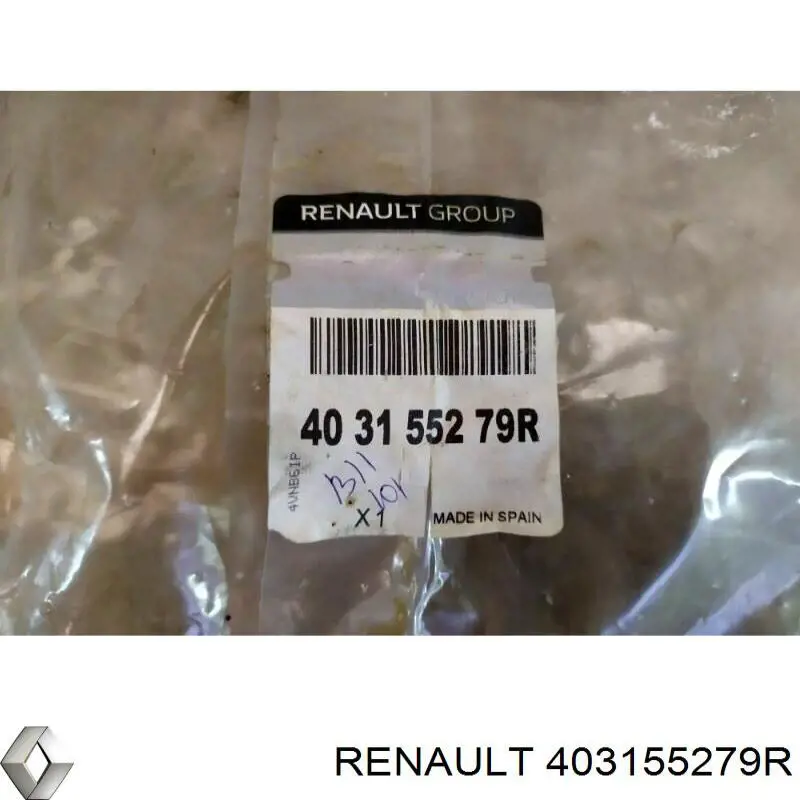 Kołpak do obręczy koła Renault Scenic III minivan (JZ0, JZ1) (2009 - 2016) cena, od 39,70 USD
