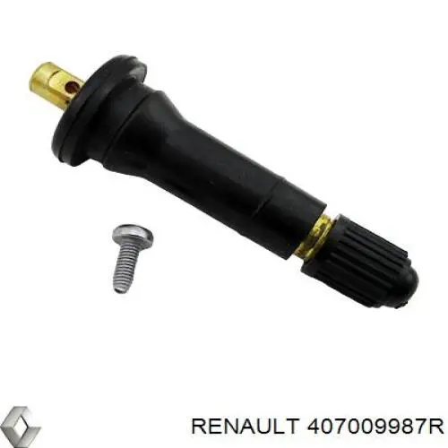 Czujnik ciśnienia w oponach Renault (RVI) 407009987R cena, od 54,56 USD