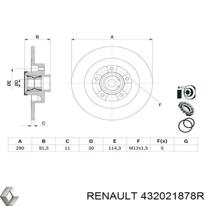 432021878R Renault (RVI) Tarcza hamulcowa tylna