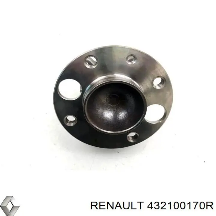 Piasta tylna Renault (RVI) 432100170R