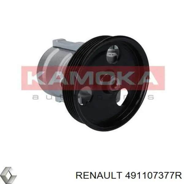 Pompa wspomagania hydraulicznego kierownicy Renault (RVI) 491107377R cena, od 73,65 USD