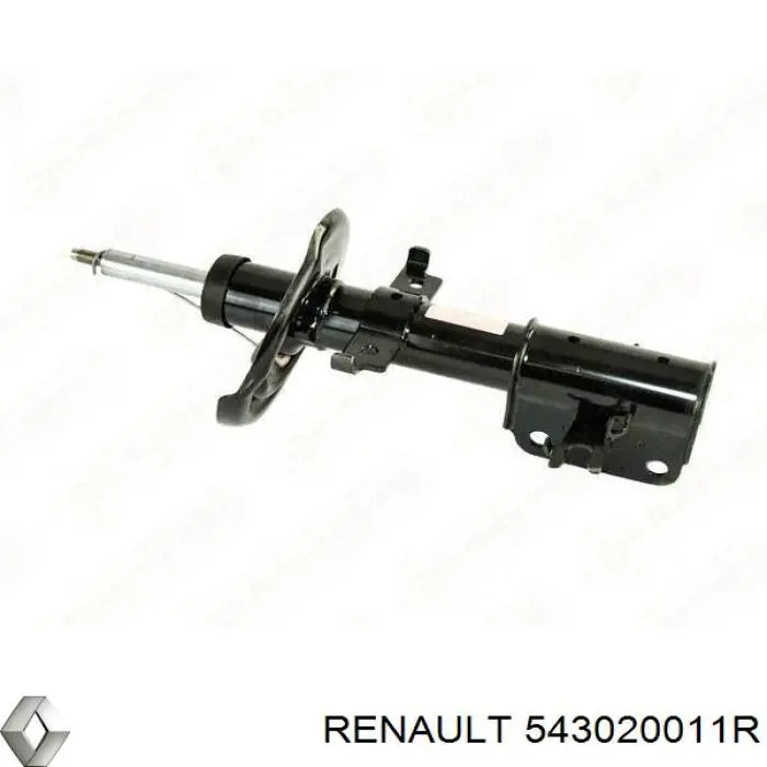 Do koszyka 543020011R Renault (RVI) Amortyzator przedni