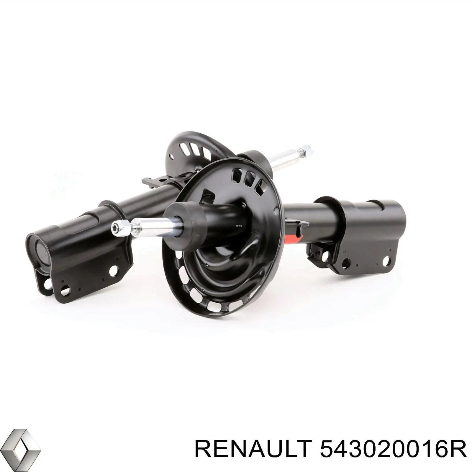 Do koszyka 543020016R Renault (RVI) Amortyzator przedni