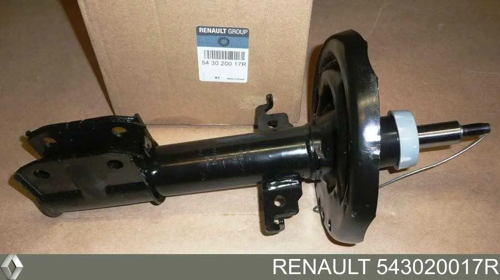 Amortyzator przedni Renault (RVI) 543020017R cena, od 66,02 USD