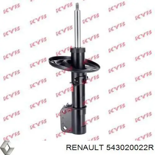 Do koszyka 543020022R Renault (RVI) Amortyzator przedni