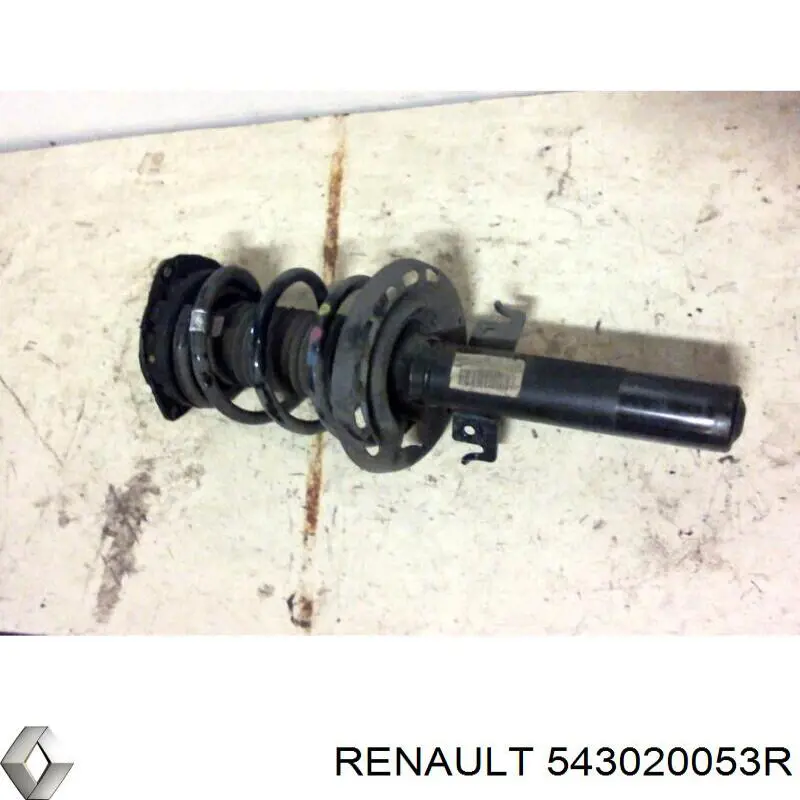 Do koszyka 543020053R Renault (RVI) Amortyzator przedni