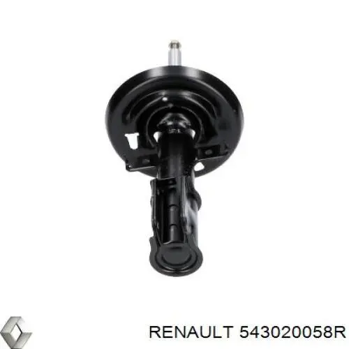 Do koszyka 543020058R Renault (RVI) Amortyzator przedni