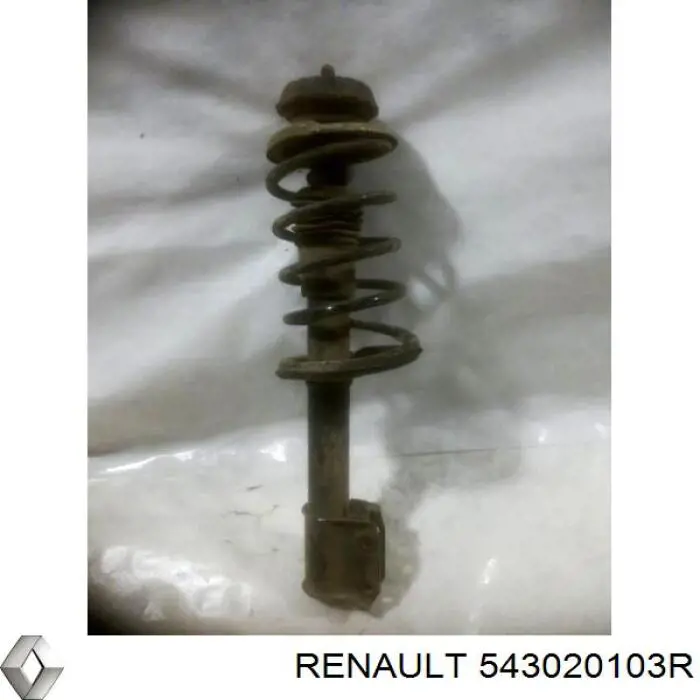 Do koszyka 543020103R Renault (RVI) Amortyzator przedni