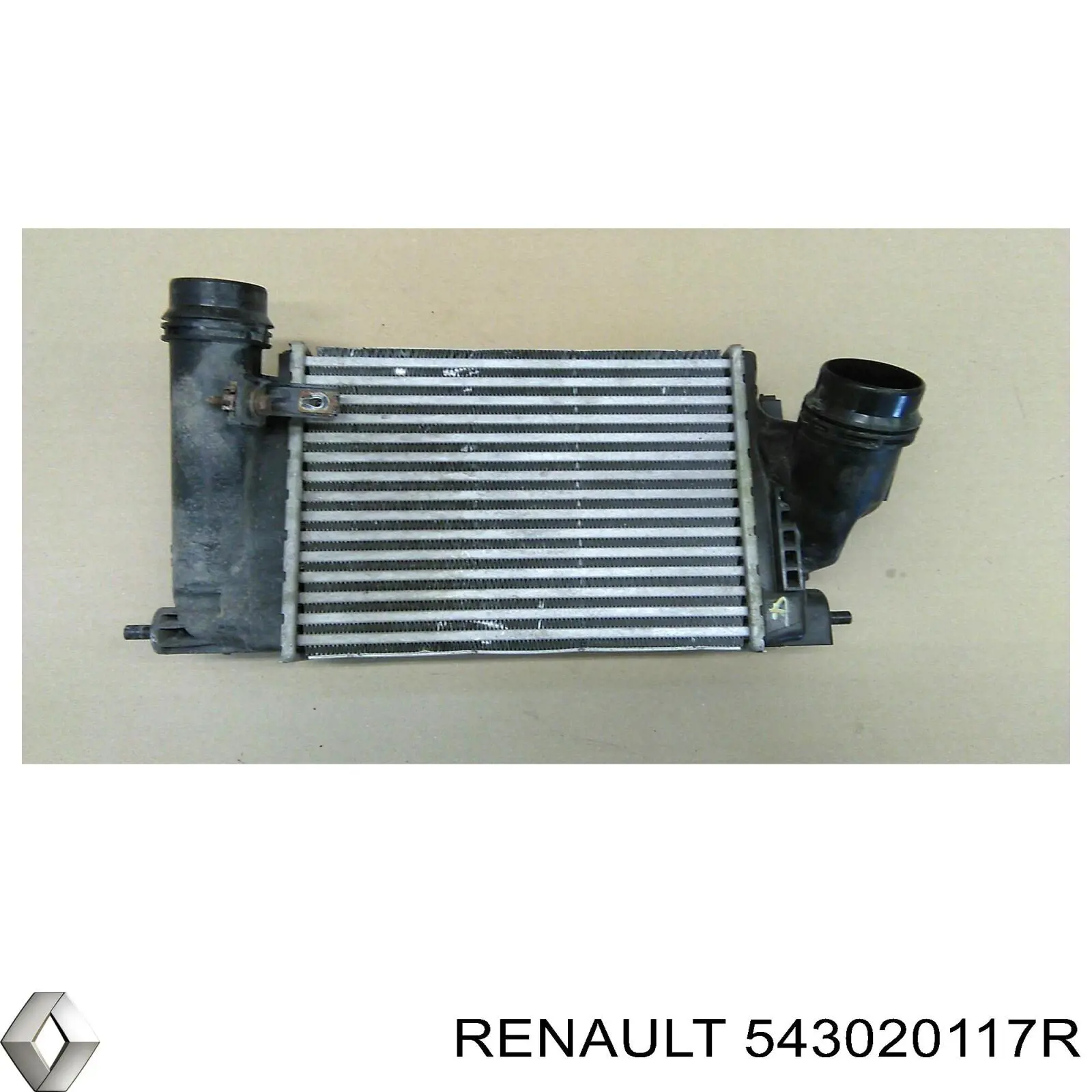 543020117R Renault (RVI) Amortyzator przedni