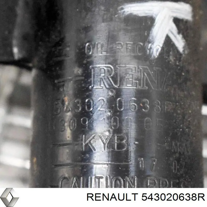Amortyzator przedni Renault (RVI) 543020638R cena, od 50,25 USD