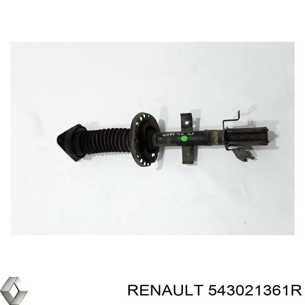 Do koszyka 543021361R Renault (RVI) Amortyzator przedni