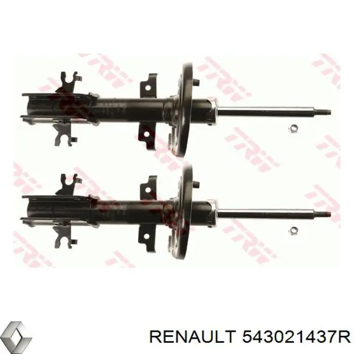 Amortyzator przedni Renault (RVI) 543021437R cena, od 62,35 USD