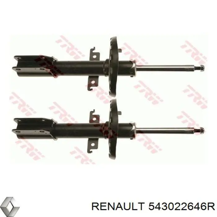 Do koszyka 543022646R Renault (RVI) Amortyzator przedni