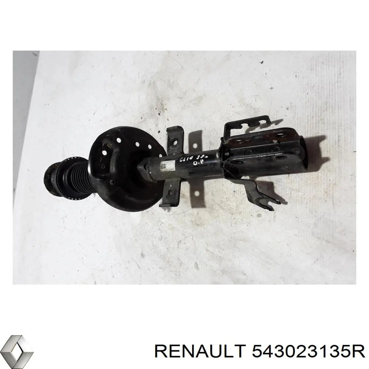 Do koszyka 543023135R Renault (RVI) Amortyzator przedni